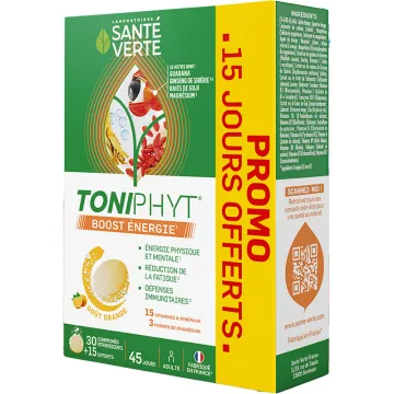 Toniphyt Boost Énergie orange 45 comprimés – Santé Verte