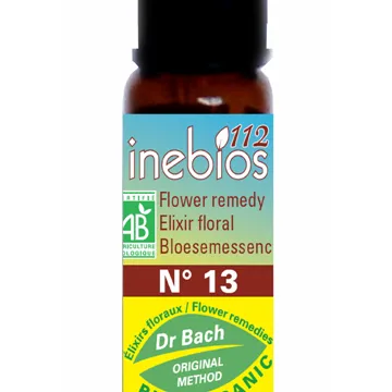 Inebios Fleur de Bach n°13 Gorse Ajonc Bio 10 ml