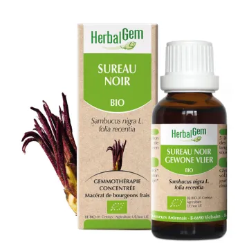 Bourgeon de Sureau noir Bio 30 ml HerbalGem
