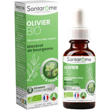 Santarome Macérat de Bourgeons d’Olivier Bio – 30 ml
