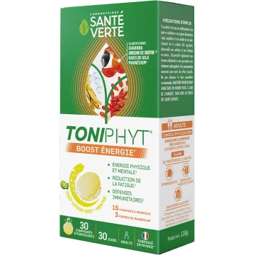 Toniphyt Boost Énergie citron vert-menthe 30 comprimés – Santé Verte