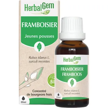 Jeunes pousses de Framboisier Bio 30 ml HerbalGem