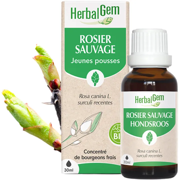 Bourgeon de Rosier sauvage Bio 30 ml HerbalGem