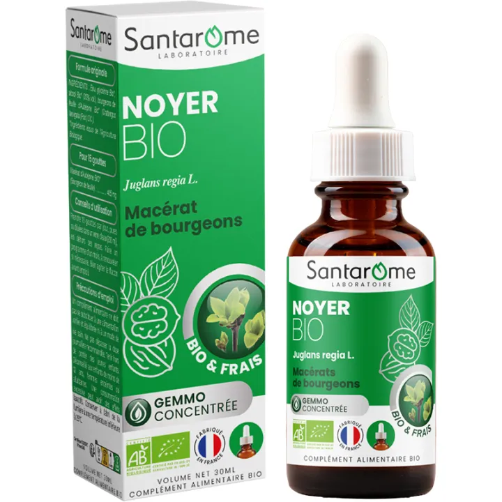 Santarome Macérat de Bourgeons de Noyer Bio – 30 ml