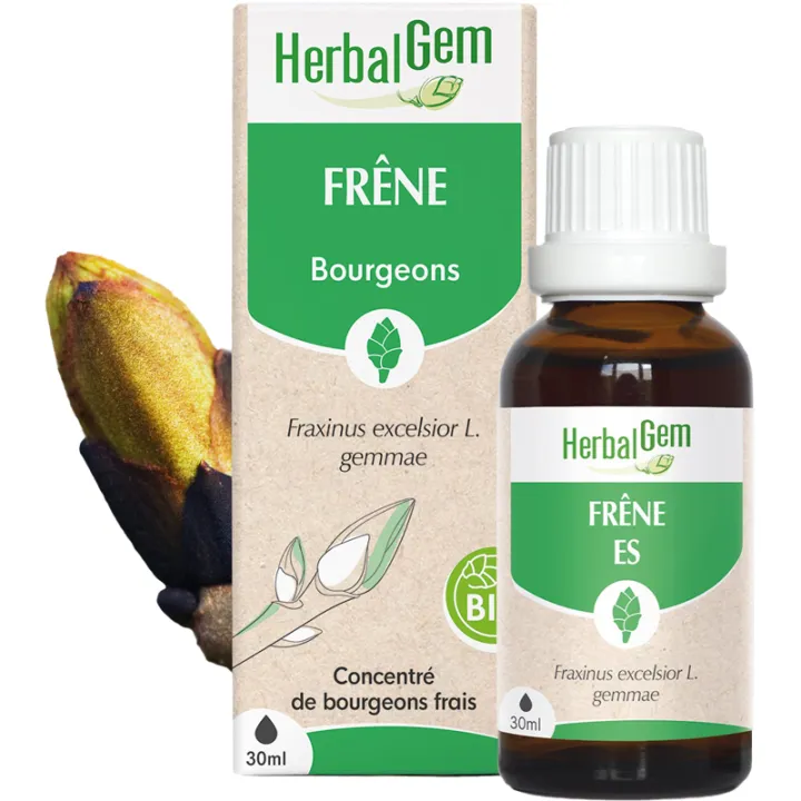 Bourgeon de Frêne Bio 30 ml HerbalGem