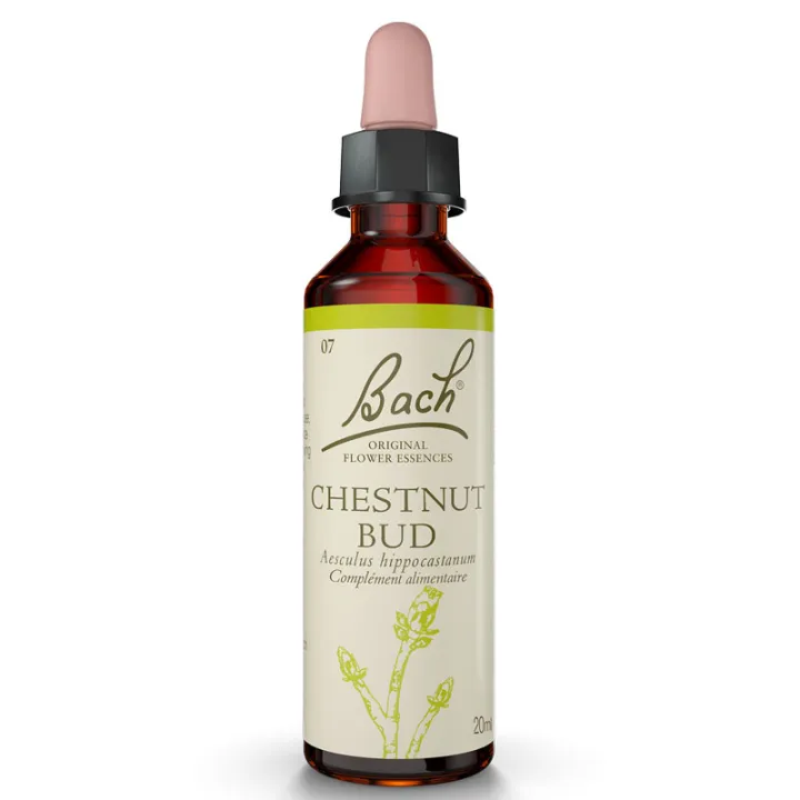Fleurs de Bach Original CHESTNUT BUD Bourgeon de Marronnier d'Inde 20ml