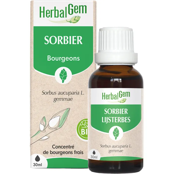 Bourgeon de Sorbier Macérat glycériné 30 ml HerbalGem