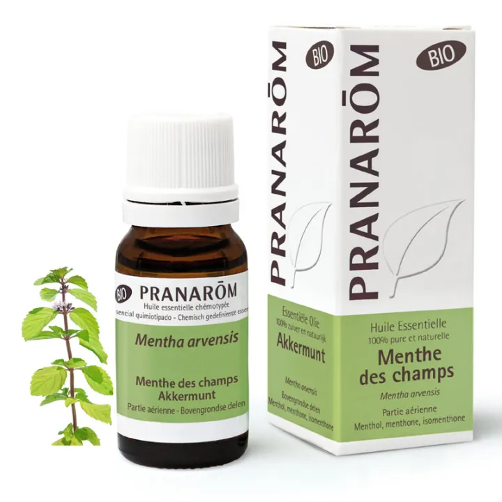 Huile essentielle BIO Menthe des champs PRANAROM 10ml