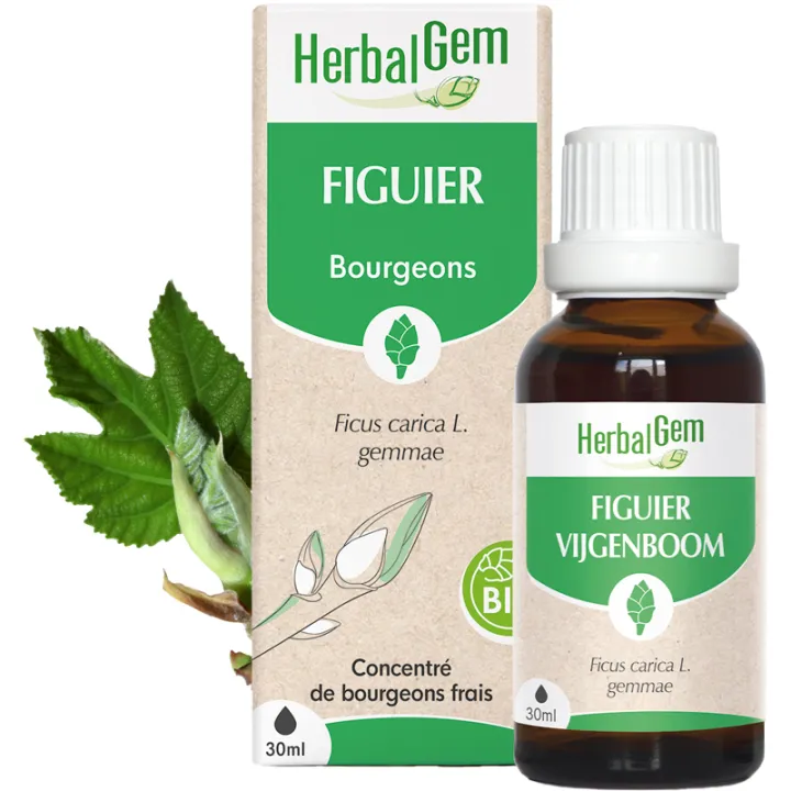 Bourgeon de Figuier Bio 30 ml HerbalGem