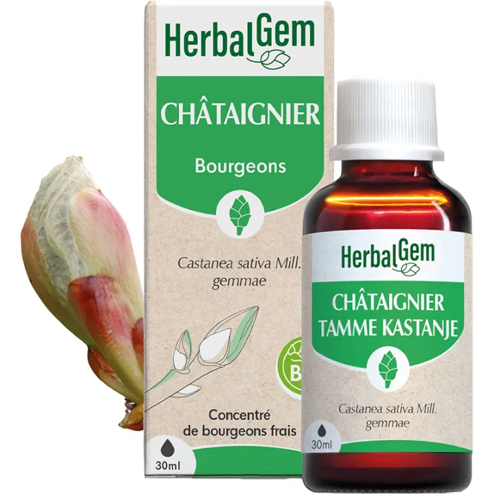 Bourgeon de Châtaignier Bio 30 ml HerbalGem