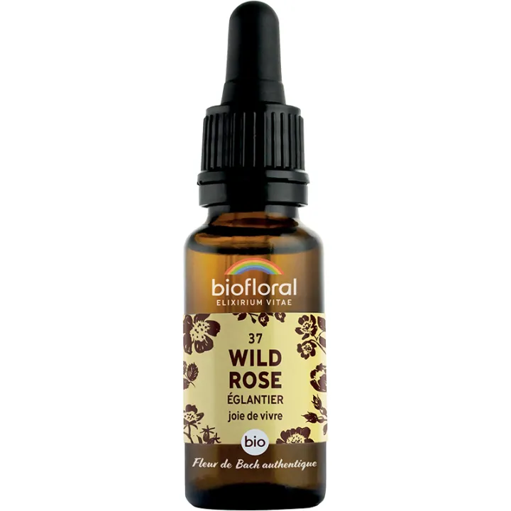 Fleur de Bach n°37 Wild Rose bio en granules sans alcool 19,5 g – Biofloral