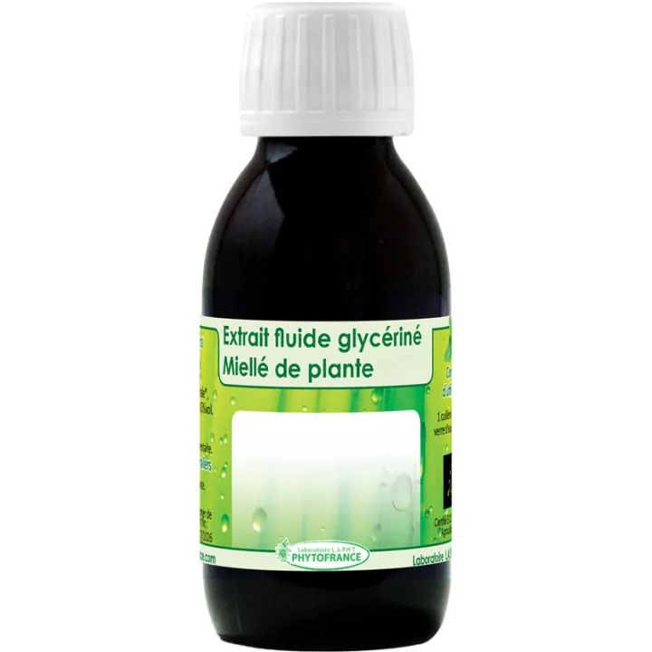 PhytoFrance Extrait Fluide Glycériné de Boldo Bio 125 ml