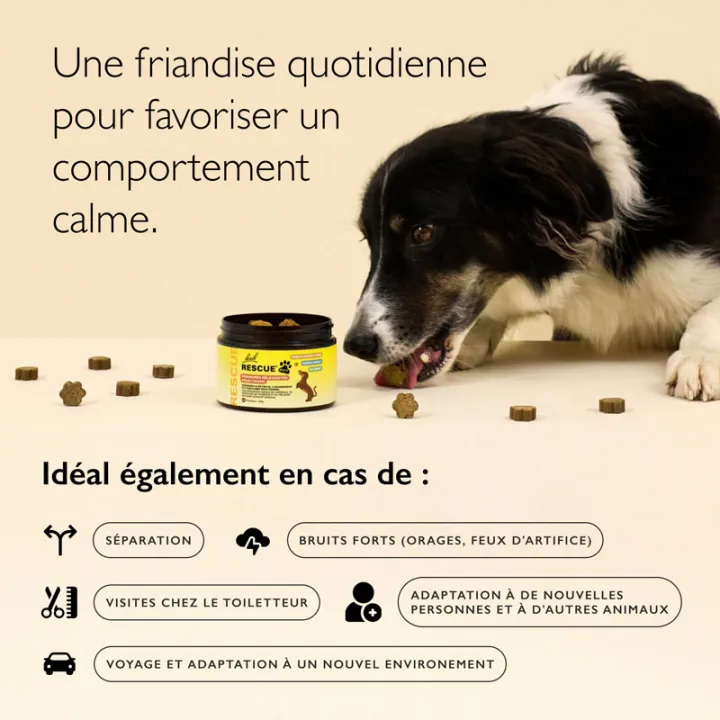 Rescue Pets Friandises Apaisantes pour Chiens Fleurs de Bach - x60