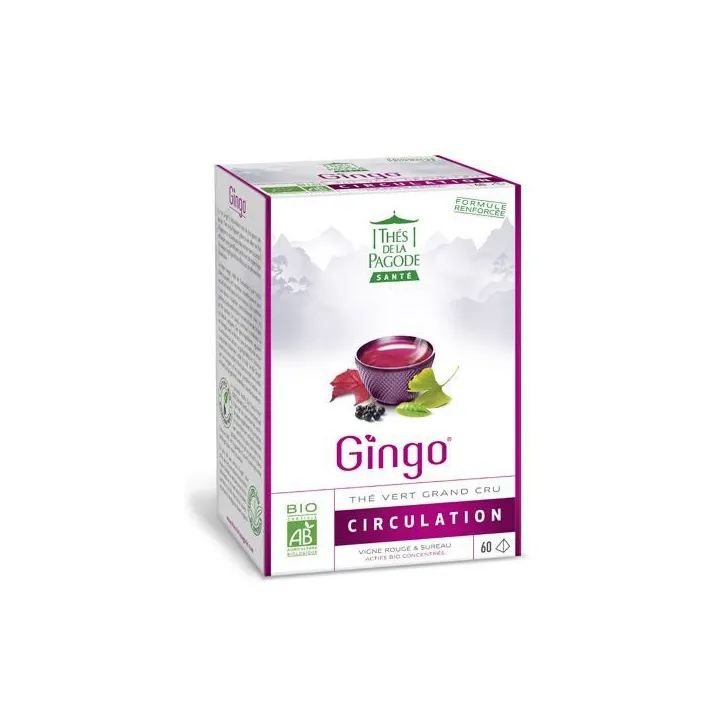 GINGO Thé Bio