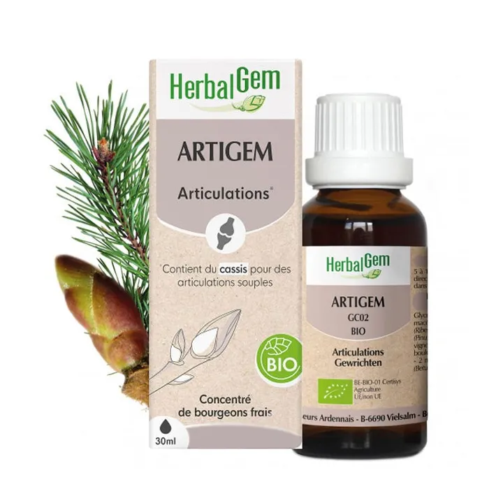 ARTIGEM Complexe Articulations
