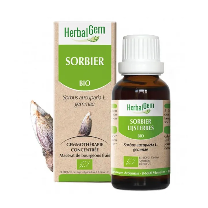 SORBIER Macérat Glycériné