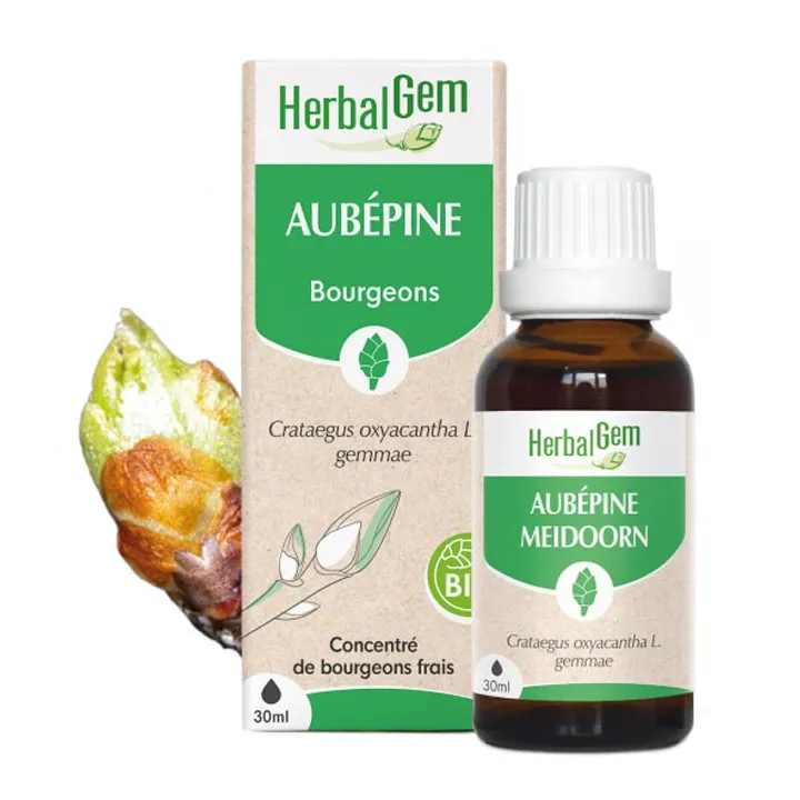 GEMMOBASE Aubépine