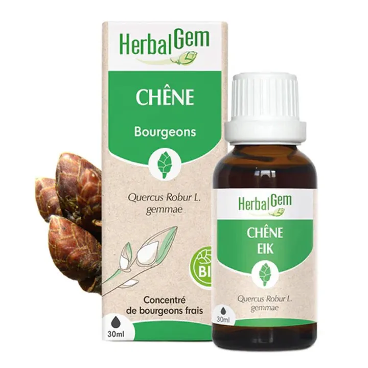 GEMMOBASE Chêne