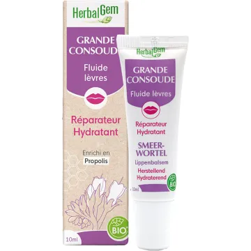 Grande Consoude Fluide Lèvres Bio 10 ml HerbalGem
