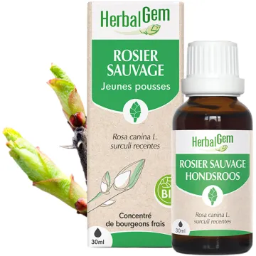 Bourgeon de Rosier sauvage Bio 30 ml HerbalGem