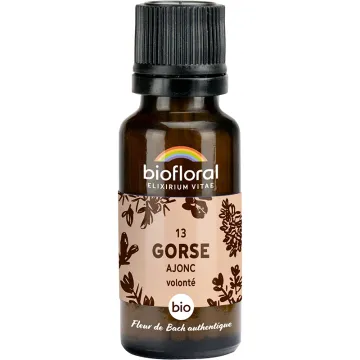 Fleur de Bach n°13 Gorse bio en granules sans alcool 19,5 g – Biofloral