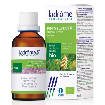 LaDrôme Pin sylvestre BIO AB Extrait de plantes fraîches 50ml