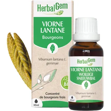 Bourgeon de Viorne Bio 30 ml HerbalGem