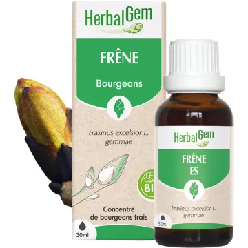 Bourgeon de Frêne Bio 30 ml HerbalGem