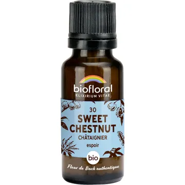 Fleur de Bach n°30 Sweet Chestnut bio en granules sans alcool 19,5 g – Biofloral