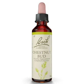 Fleurs de Bach Original CHESTNUT BUD Bourgeon de Marronnier d'Inde 20ml