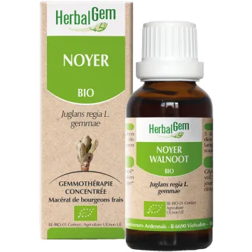 Bourgeon de Noyer Bio 30 ml HerbalGem