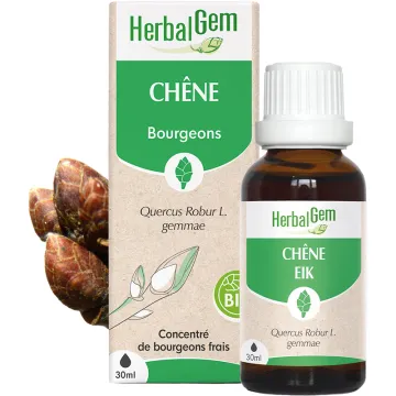 Bourgeon de Chêne Bio 30 ml HerbalGem