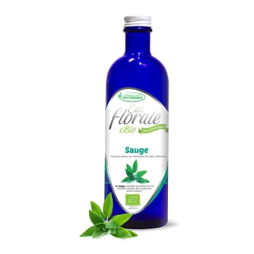 HYDROLAT BIO Sauge officinale à Grandes Feuilles PHYTOFRANCE