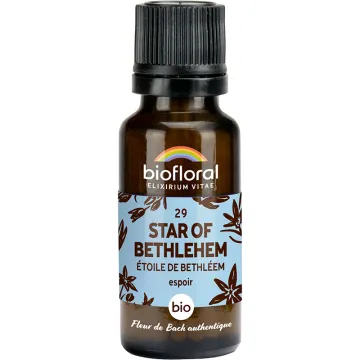Fleur de Bach n°29 Star of Bethlehem bio en granules sans alcool 19,5 g – Biofloral