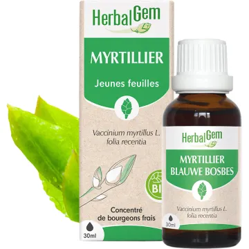 Bourgeon de Myrtillier 30 ml HerbalGem