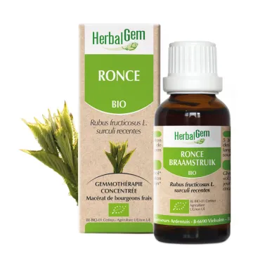 Jeunes pousses de Ronce Bio 30 ml HerbalGem