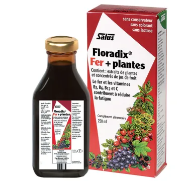Salus Floradix Fer + Plantes Solution Buvable 250 ml