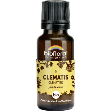 Fleur de Bach n°9 Clematis bio en granules sans alcool 19,5 g – Biofloral