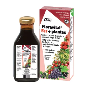 Salus Floradix Floravital Sans Levure 250ml