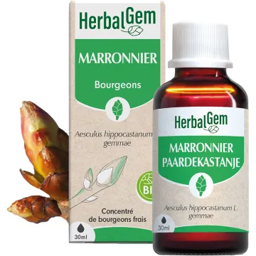 Bourgeon de Marronnier Bio 30 ml HerbalGem