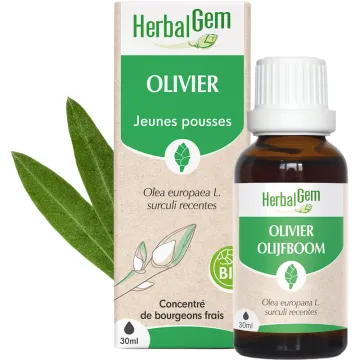 Bourgeon d’Olivier Bio 30 ml HerbalGem