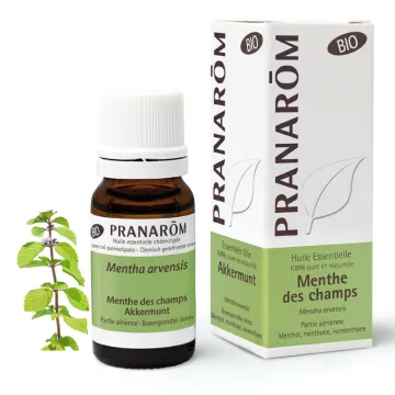 Huile essentielle BIO Menthe des champs PRANAROM 10ml