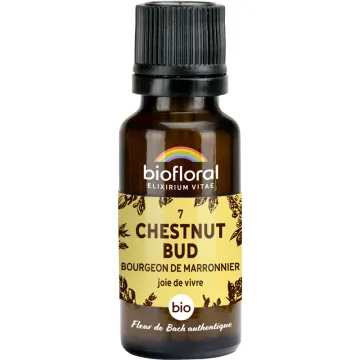Fleur de Bach n°7 Chestnut Bud bio en granules sans alcool 19,5 g – Biofloral