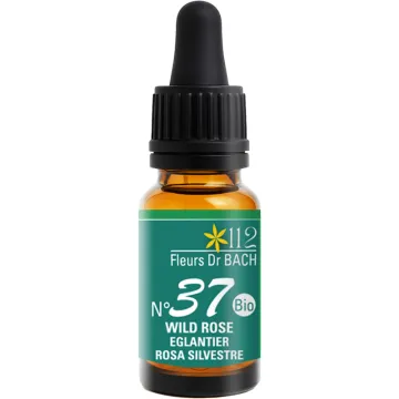 Inebios Fleur de Bach n°37 Wild Rose Églantier Bio 10 ml