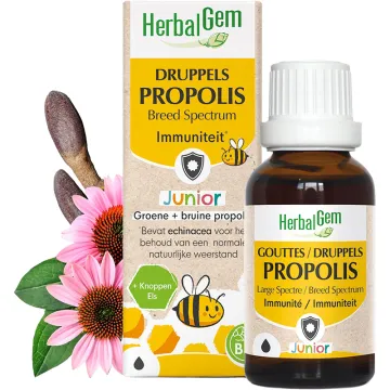 Propolis Junior Gouttes Immunité Bio 15 ml HerbalGem