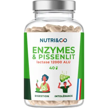 Nutri&Co Les Enzymes & Pissenlit 40 gélules