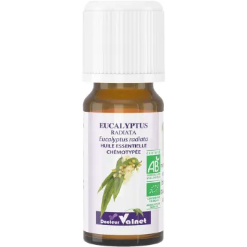 Huile Essentielle Bio Eucalyptus Radiata Dr Valnet 10 ml