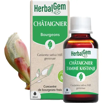 Bourgeon de Châtaignier Bio 30 ml HerbalGem