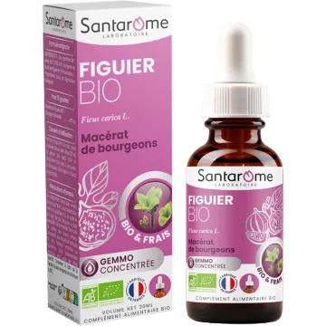 Santarome Macérat de Bourgeons de Figuier Bio – 30 ml