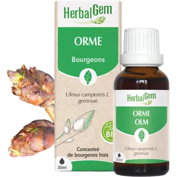 Bourgeon d’Orme Bio 30 ml HerbalGem